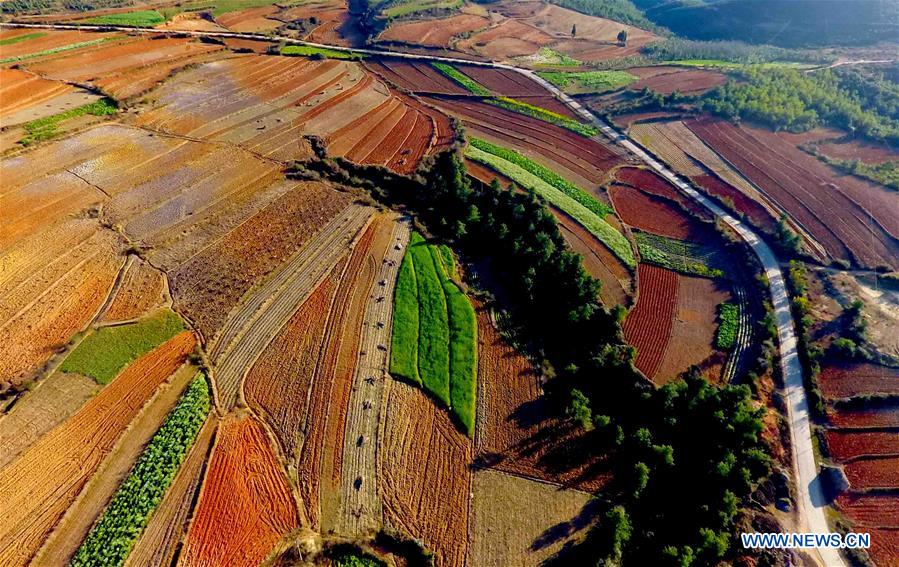 CHINA-YUNNAN-SCENERY (CN)