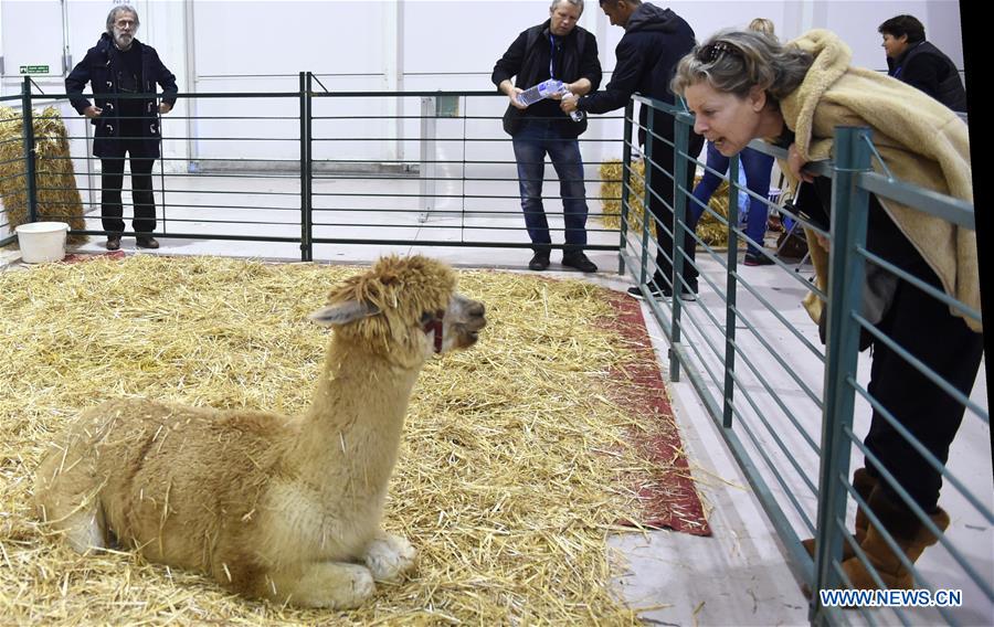PORTUGAL-LISBON-PET SHOW