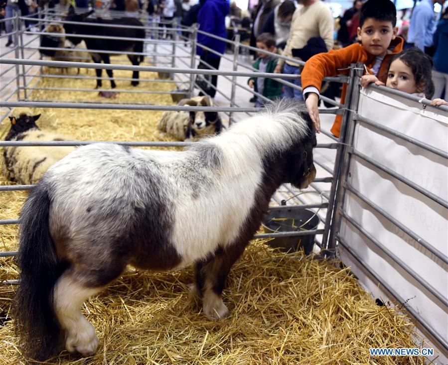 PORTUGAL-LISBON-PET SHOW