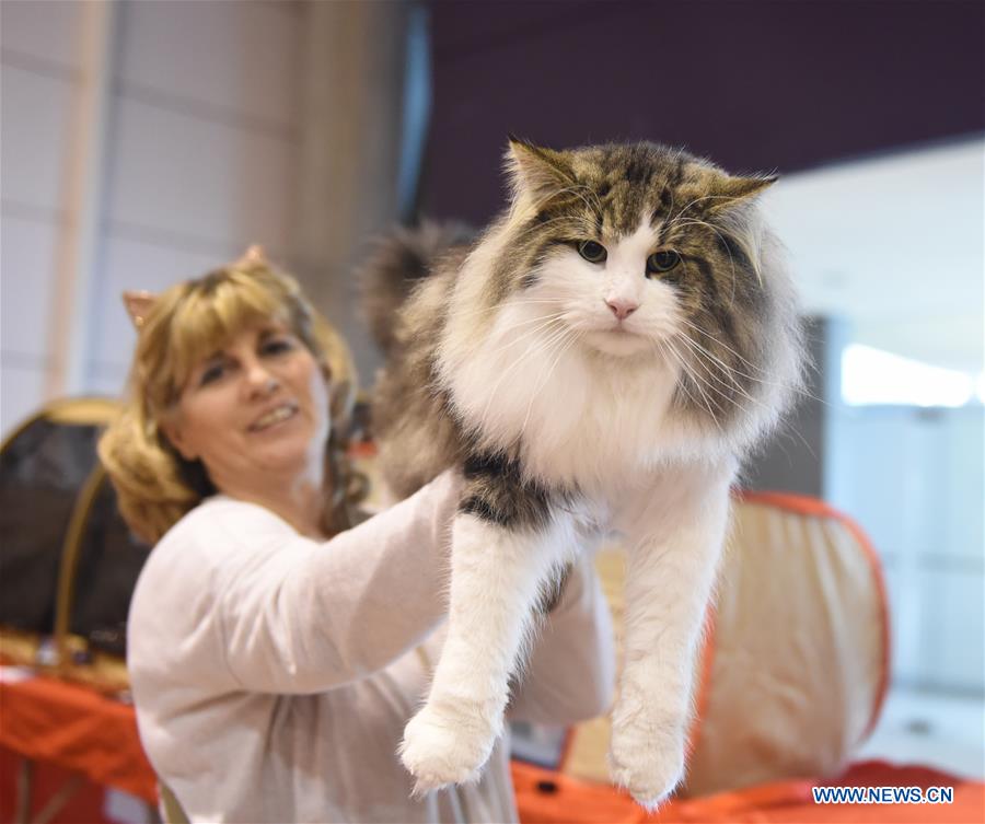 PORTUGAL-LISBON-PET SHOW