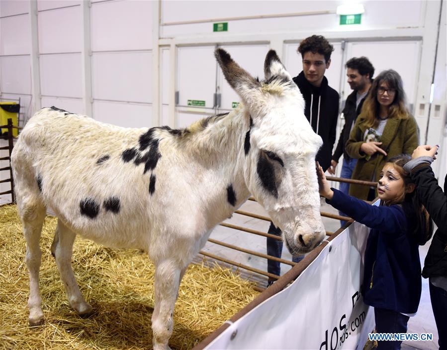 PORTUGAL-LISBON-PET SHOW