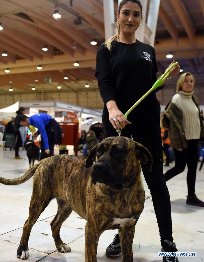 PORTUGAL-LISBON-PET SHOW