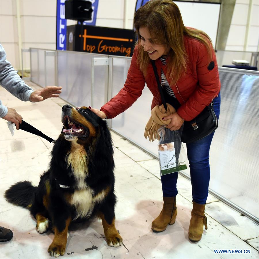PORTUGAL-LISBON-PET SHOW
