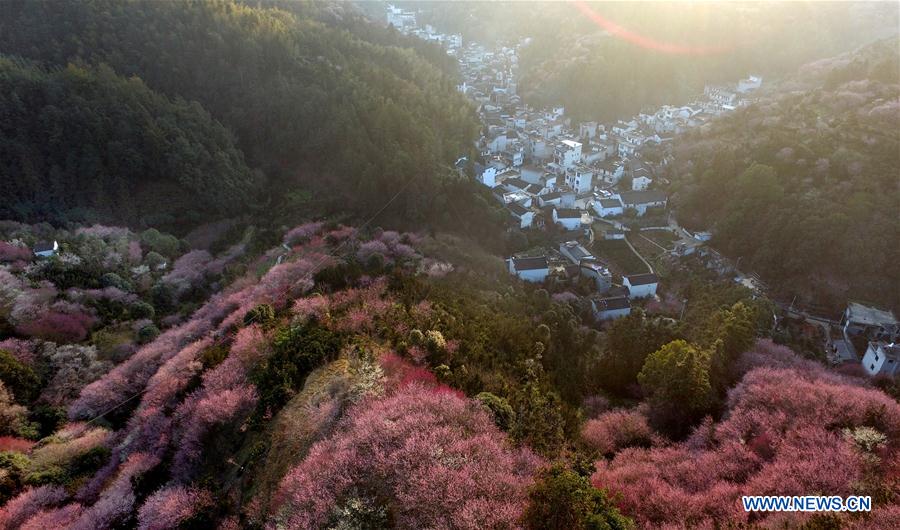 CHINA-ANHUI-VILLAGE-SCENERY (CN)
