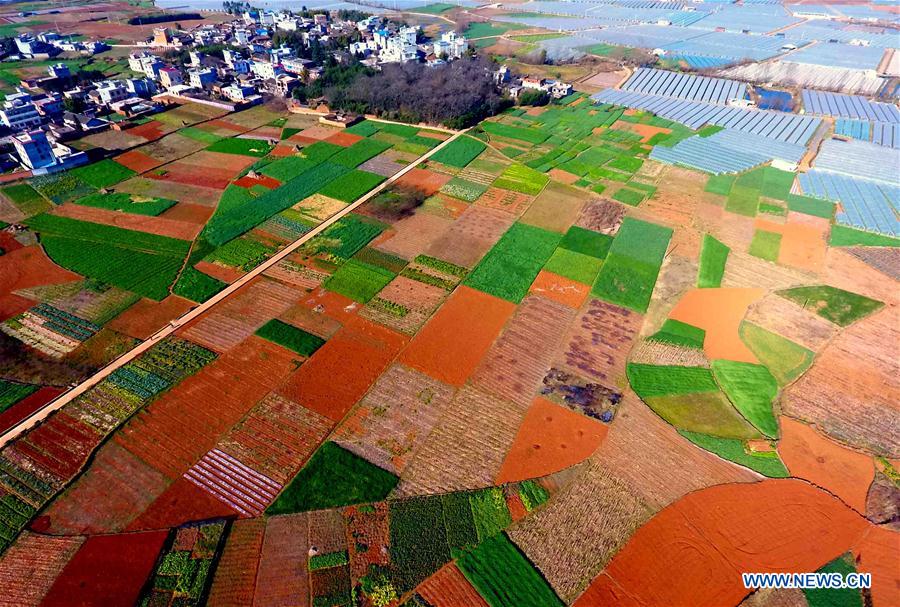 CHINA-YUNNAN-SPRING SCENERY (CN)