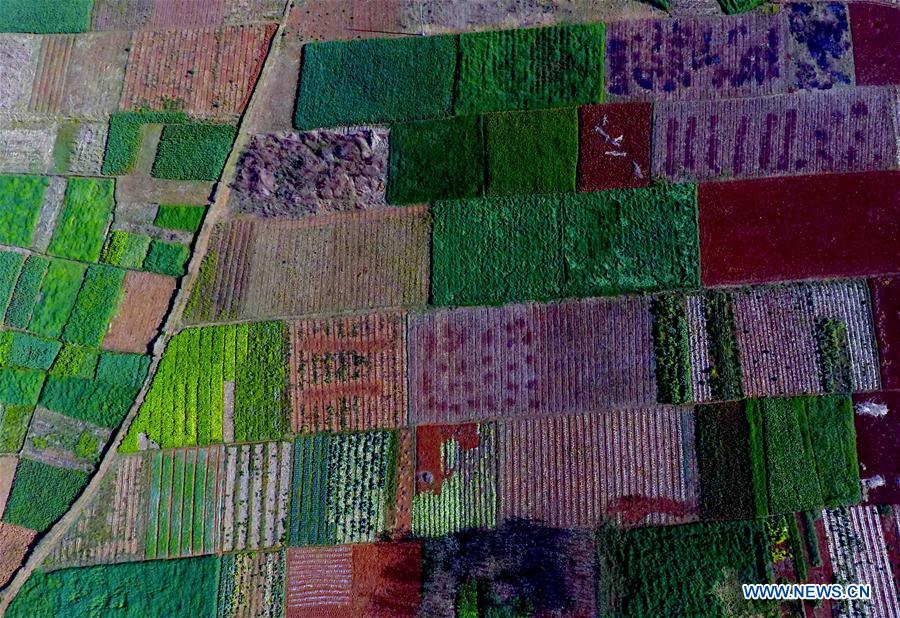 CHINA-YUNNAN-SPRING SCENERY (CN)