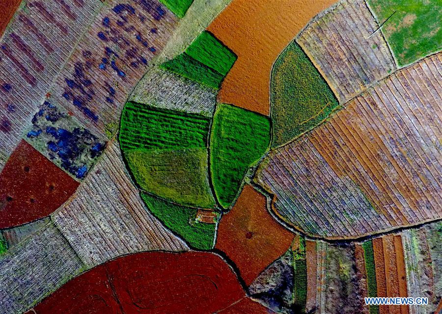 CHINA-YUNNAN-SPRING SCENERY (CN)