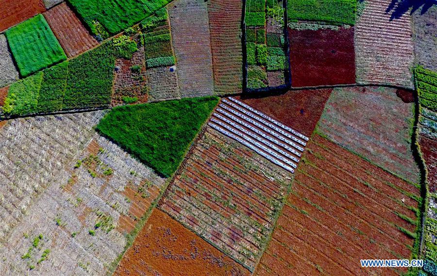 CHINA-YUNNAN-SPRING SCENERY (CN)