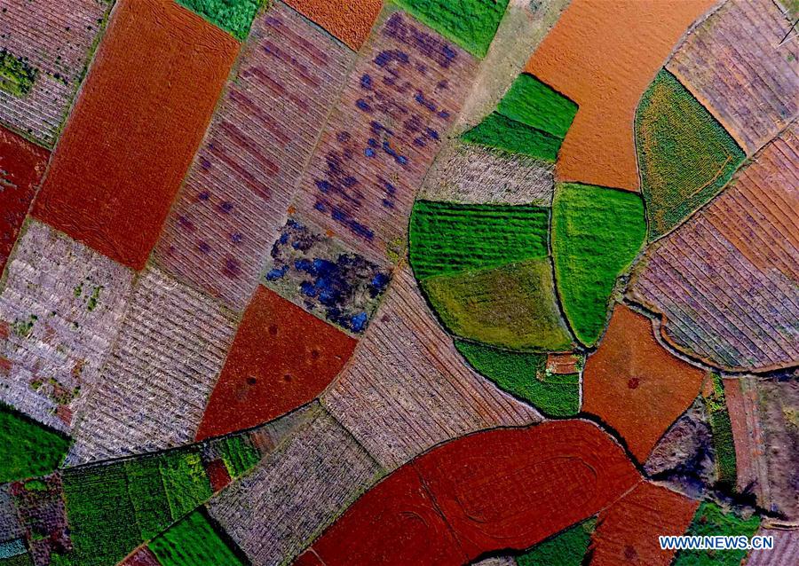 CHINA-YUNNAN-SPRING SCENERY (CN)