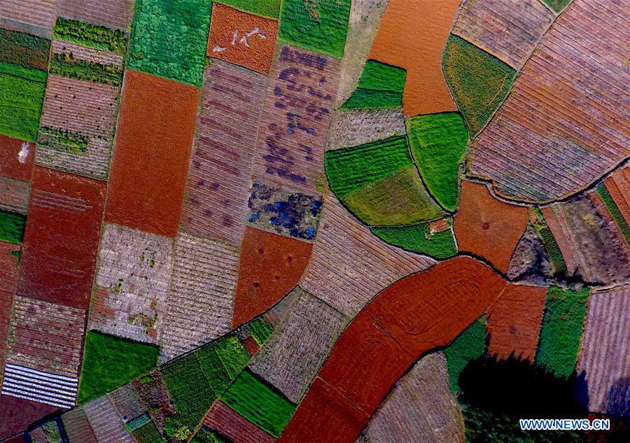 CHINA-YUNNAN-SPRING SCENERY (CN)