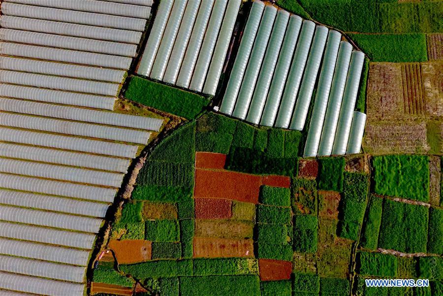 CHINA-YUNNAN-SPRING SCENERY (CN)