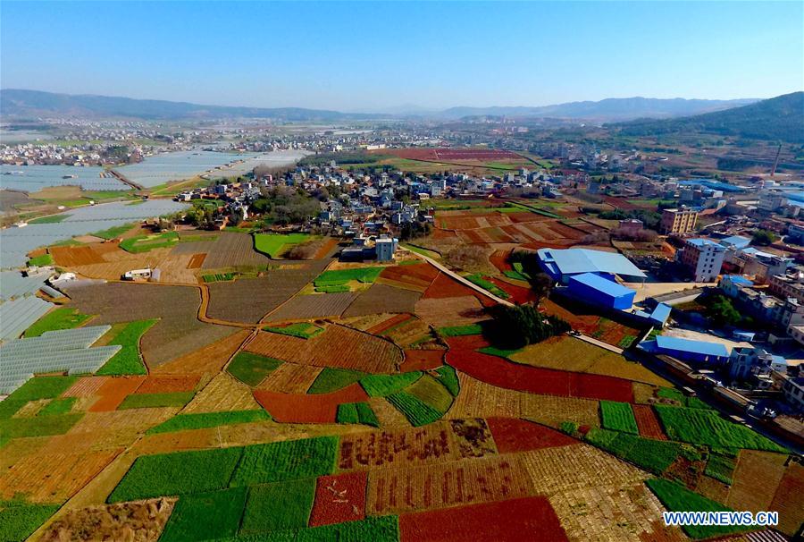 CHINA-YUNNAN-SPRING SCENERY (CN)