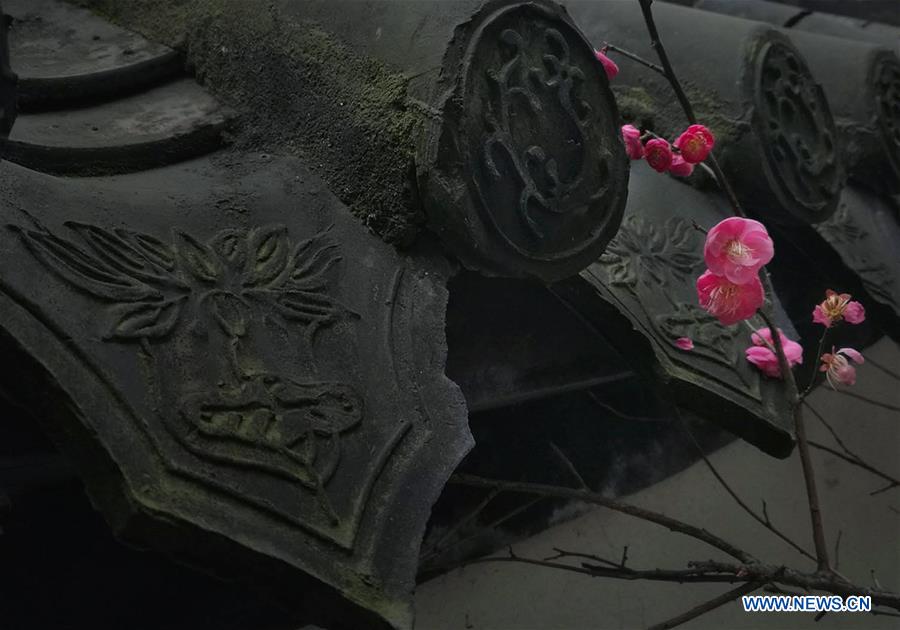 #CHINA-SPRING-SCENERY (CN)