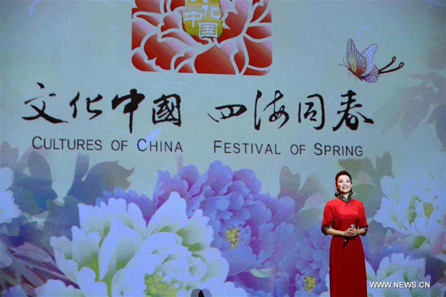 U.S.-CHICAGO-CHINA-NEW YEAR-GALA