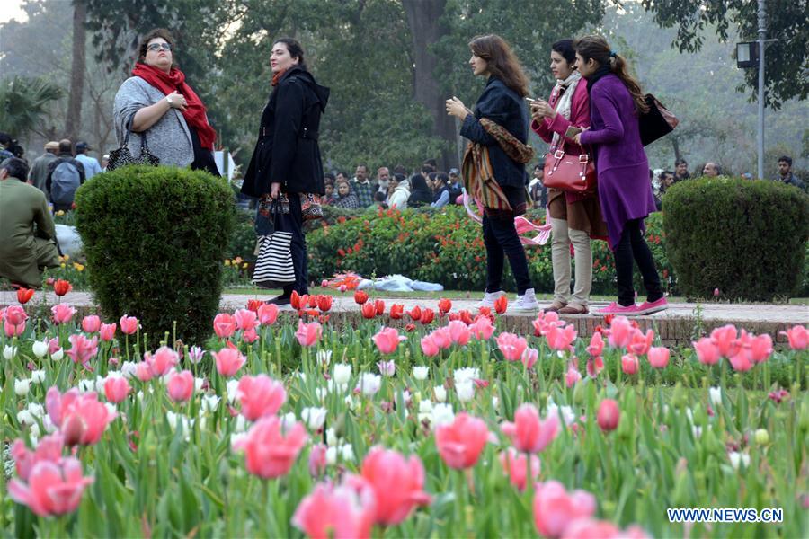 PAKISTAN-LAHORE-TULIP-FLOWERS