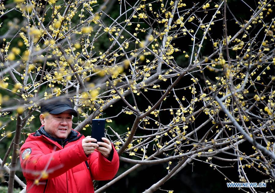 CHINA-JINAN-PLUM-BLOSSOM (CN)