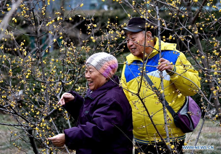 CHINA-JINAN-PLUM-BLOSSOM (CN)