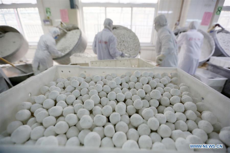 #CHINA-BEIJING-LANTERN FESTIVAL-PREPARATION (CN)