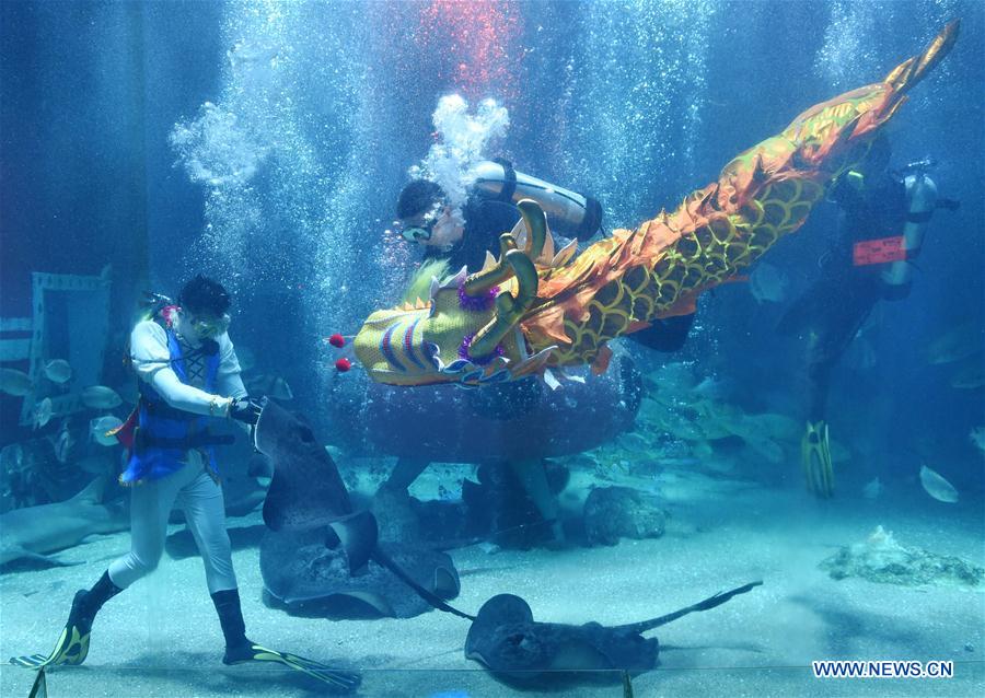CHINA-HARBIN-POLARLAND-DRAGON DANCE (CN)