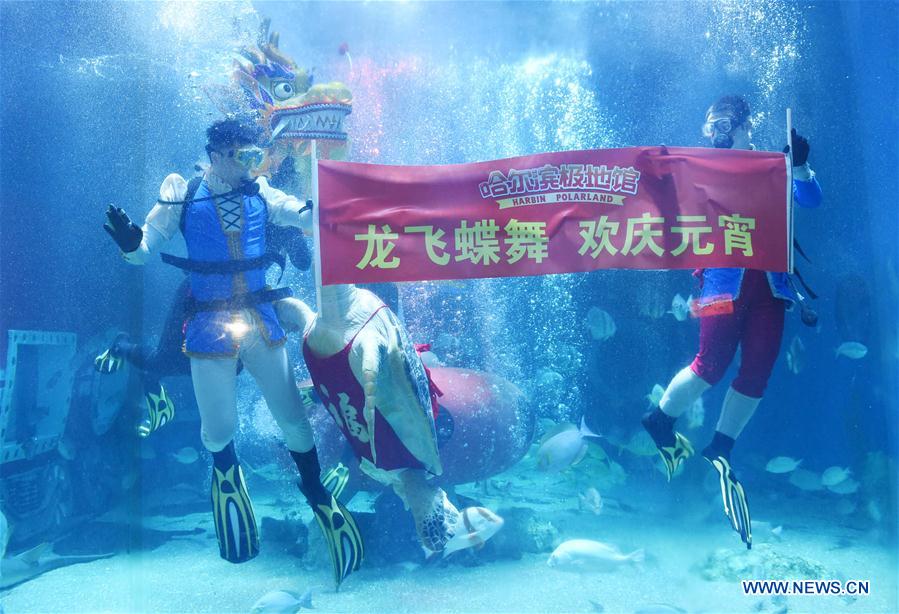 CHINA-HARBIN-POLARLAND-DRAGON DANCE (CN)