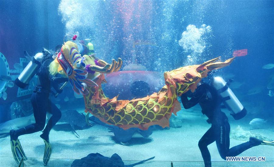 CHINA-HARBIN-POLARLAND-DRAGON DANCE (CN)