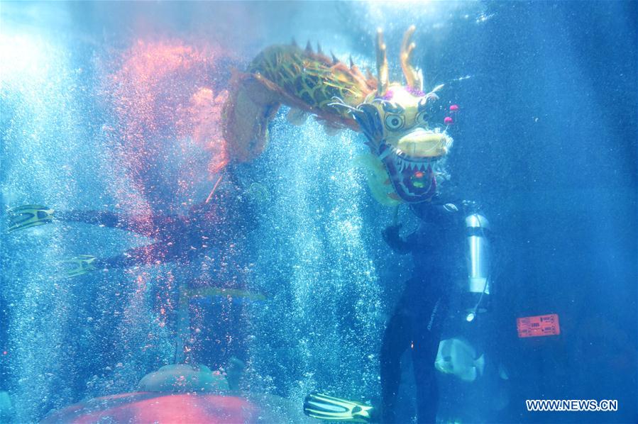CHINA-HARBIN-POLARLAND-DRAGON DANCE (CN)