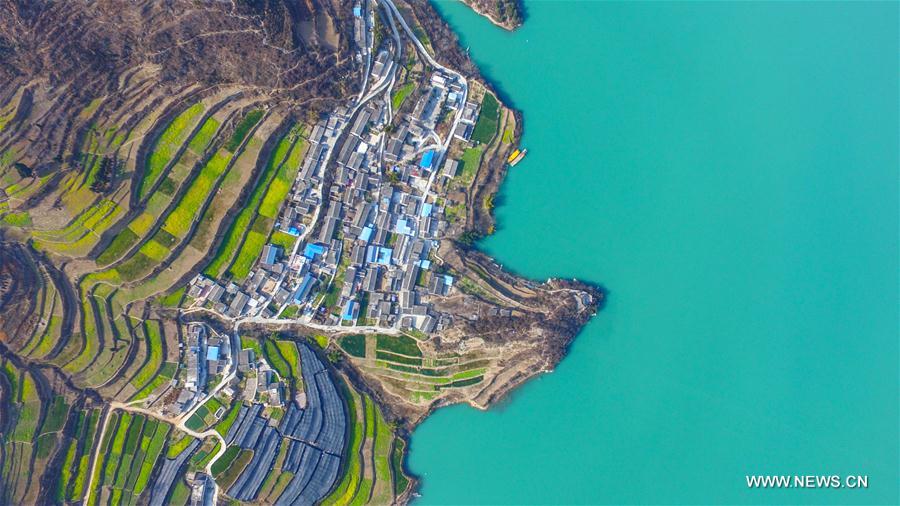 Aerial photo taken on Feb. 12, 2017 shows cole flower fields near the bank of Bikou Reservoir in Longnan, northwest China's Gansu Province