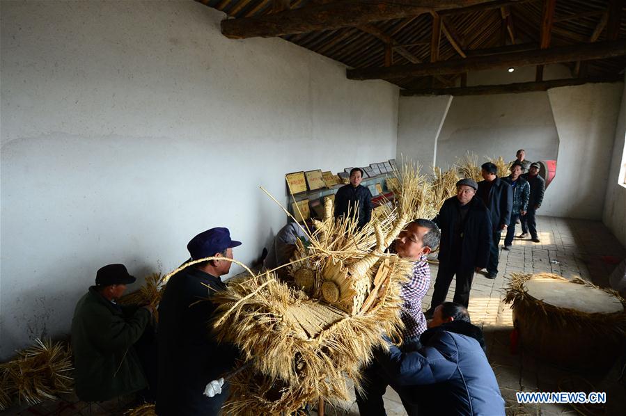 CHINA-HENAN-STRAW DRAGON(CN)