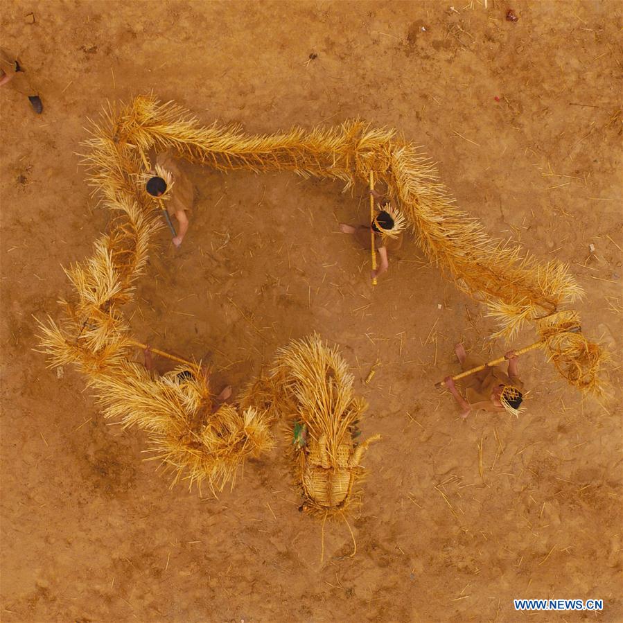 CHINA-HENAN-STRAW DRAGON(CN)