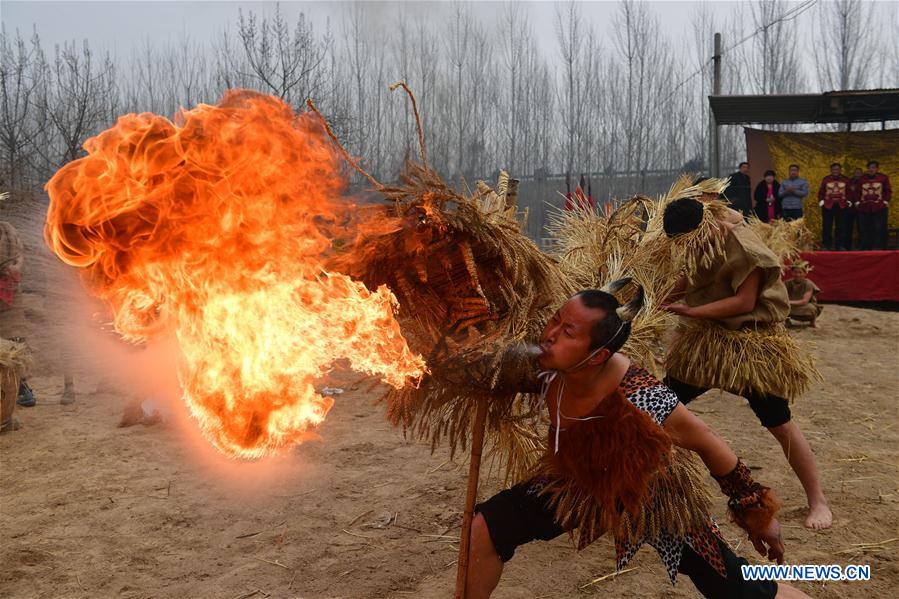 CHINA-HENAN-STRAW DRAGON(CN)