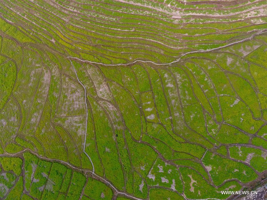 Photo taken on Feb. 15, 2017 shows the spring scenery at Shuangfu Village in Duyang Township under Dahua Yao Autonomous County, south China's Guangxi Zhuang Autonomous Region. (Xinhua/Huang Xiaobang) Photo taken on Feb. 15, 2017 shows the spring scenery at Shuangfu Village in Duyang Township under Dahua Yao Autonomous County, south China's Guangxi Zhuang Autonomous Region. (Xinhua/Huang Xiaobang)