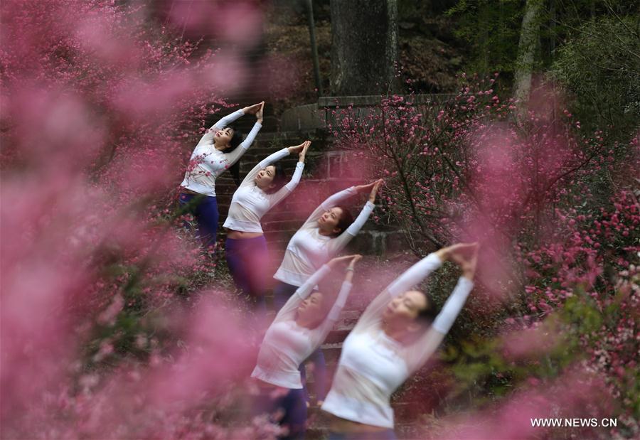 #CHINA-HUNAN-ZHANGJIAJIE-YOGA (CN)