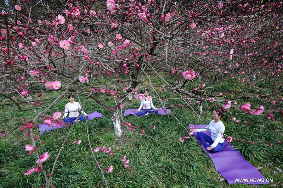 #CHINA-HUNAN-ZHANGJIAJIE-YOGA (CN)