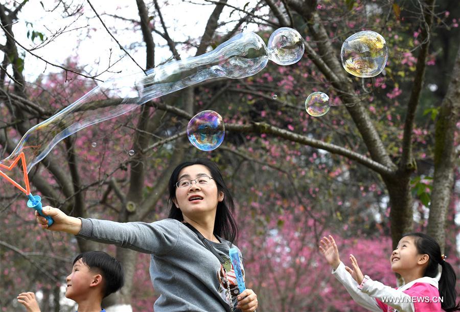 CHINA-NANNING-WEATHER (CN)