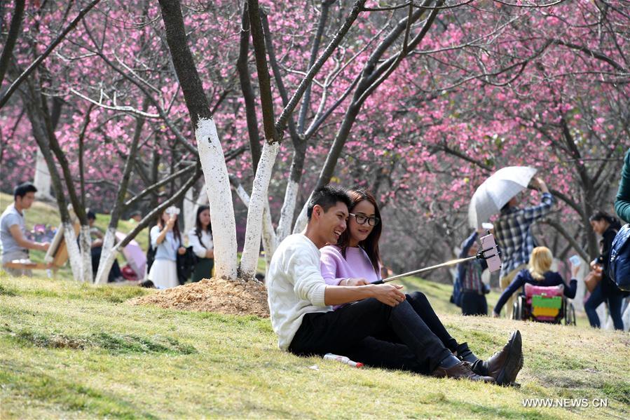 CHINA-NANNING-WEATHER (CN)