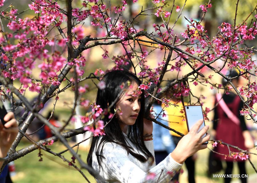 CHINA-NANNING-WEATHER (CN)