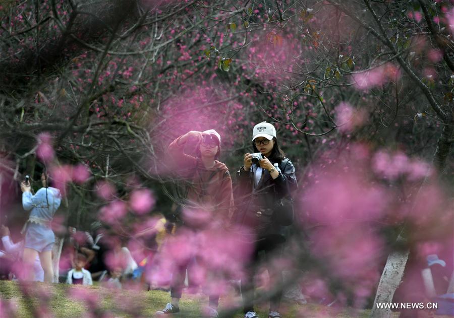 CHINA-NANNING-WEATHER (CN)