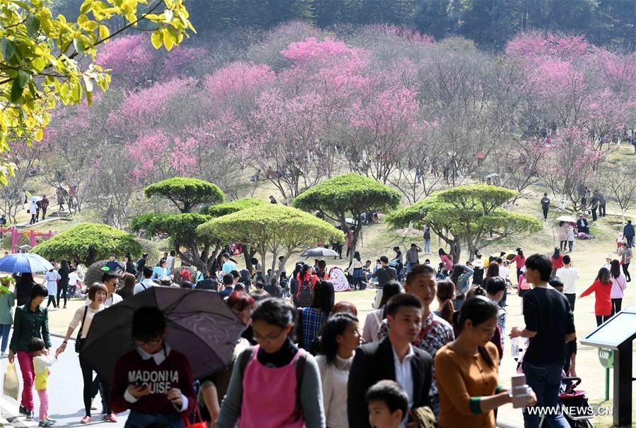 CHINA-NANNING-WEATHER (CN)