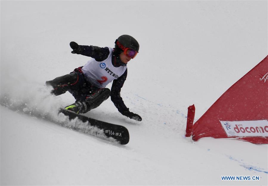 (SP)JAPAN-SAPPORO-ASIAN WINTER GAMES-WOMEN'S GIANT SLALOM