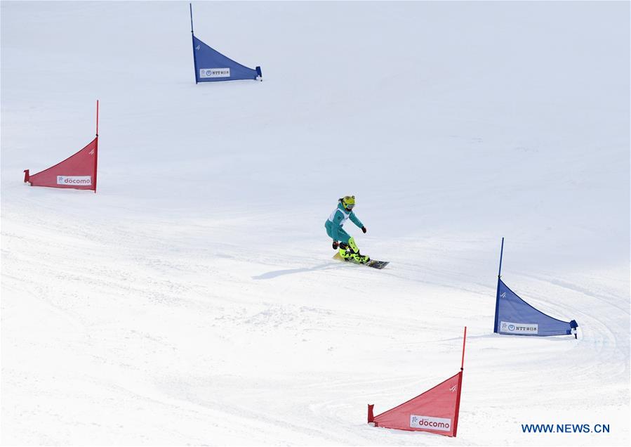 (SP)JAPAN-SAPPORO-ASIAN WINTER GAMES-WOMEN'S GIANT SLALOM