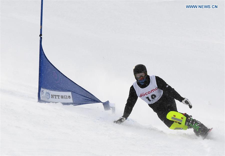 (SP)JAPAN-SAPPORO-ASIAN WINTER GAMES-MEN'S GIANT SLALOM