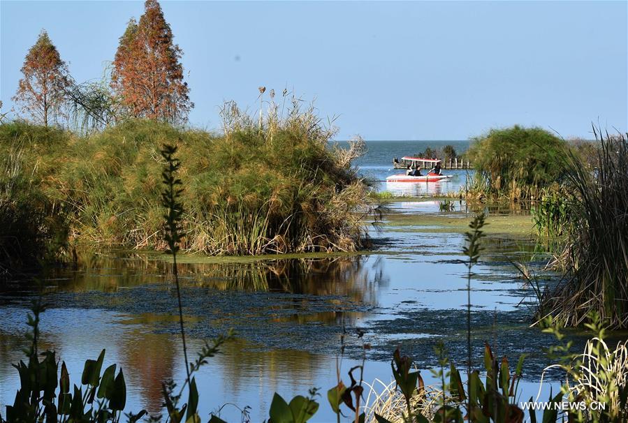 Photo taken on Feb. 18, 2017 shows the scenery of Gudian wetland park in Dianchi Lake scenic area in Kunming, capital of southwest China's Yunnan Province. (Xinhua/Chen Haining)