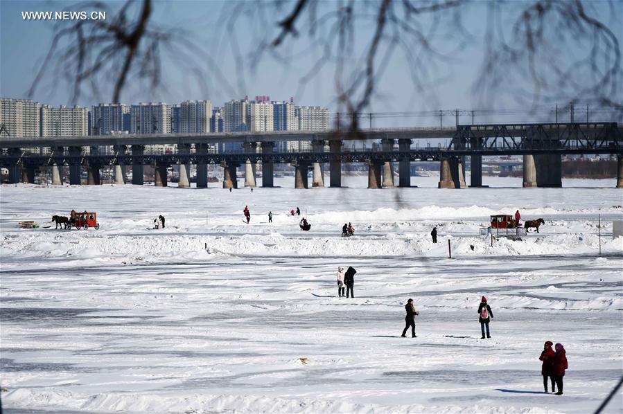 CHINA-HEILONGJIANG-HARBIN-SNOW (CN)
