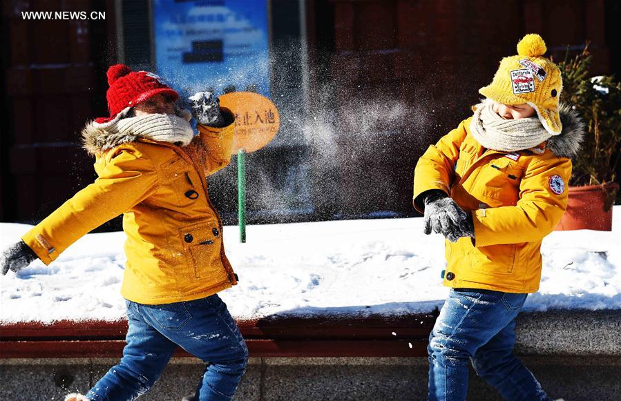 CHINA-HEILONGJIANG-HARBIN-SNOW (CN)