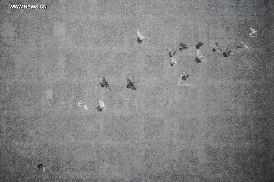 CHINA-BEIJING-SNOWFALL (CN)