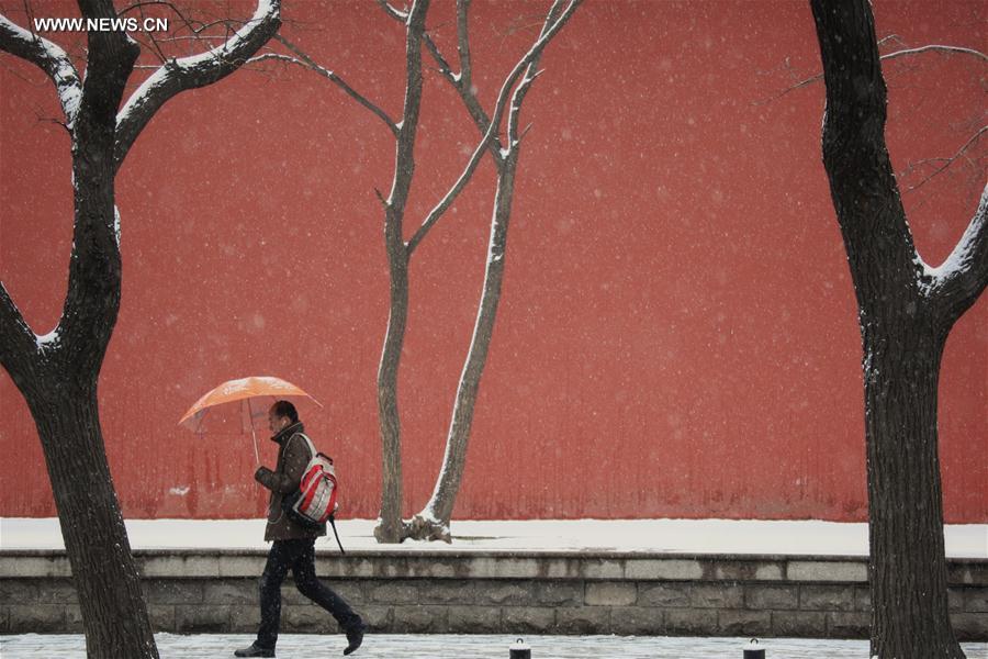CHINA-BEIJING-SNOWFALL (CN)
