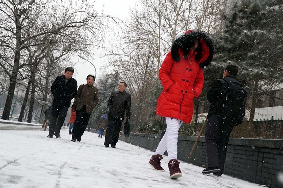 CHINA-BEIJING-SNOWFALL (CN)