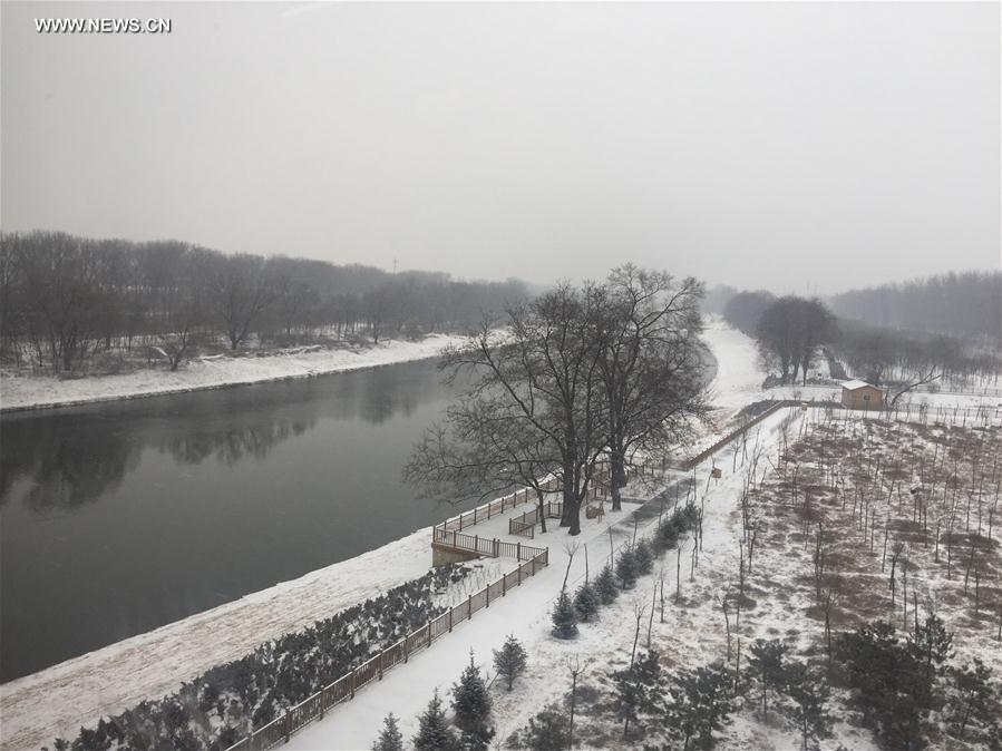 CHINA-BEIJING-SNOWFALL (CN)