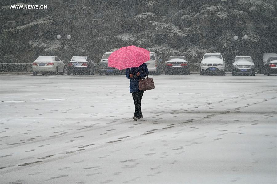 CHINA-BEIJING-SNOWFALL (CN)