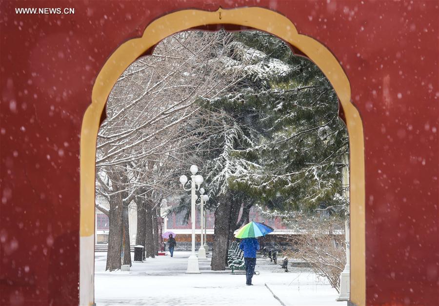 CHINA-BEIJING-SNOWFALL (CN)
